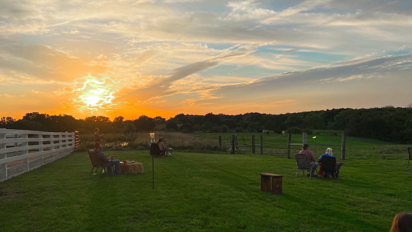 Sunset on the pasture