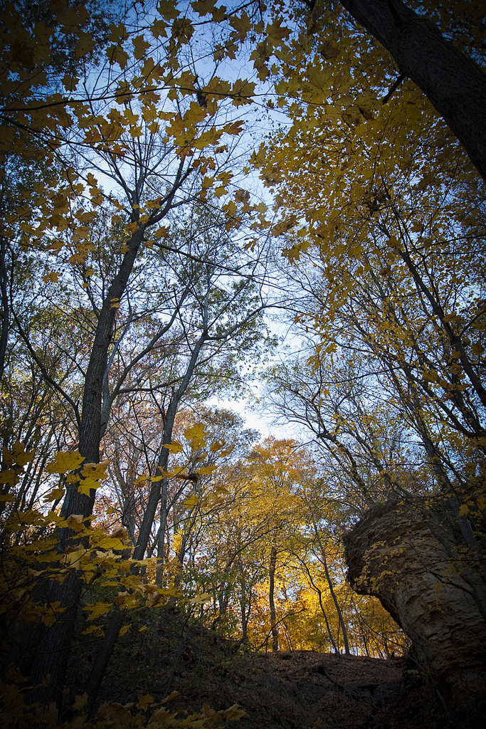 Hiking on the bluff trail is pretty and fun