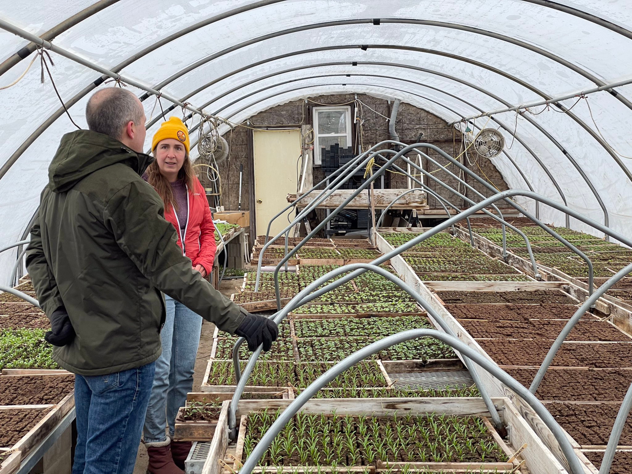 A man and a woman stand next to trays of seedlings in a hoop greenhouse.