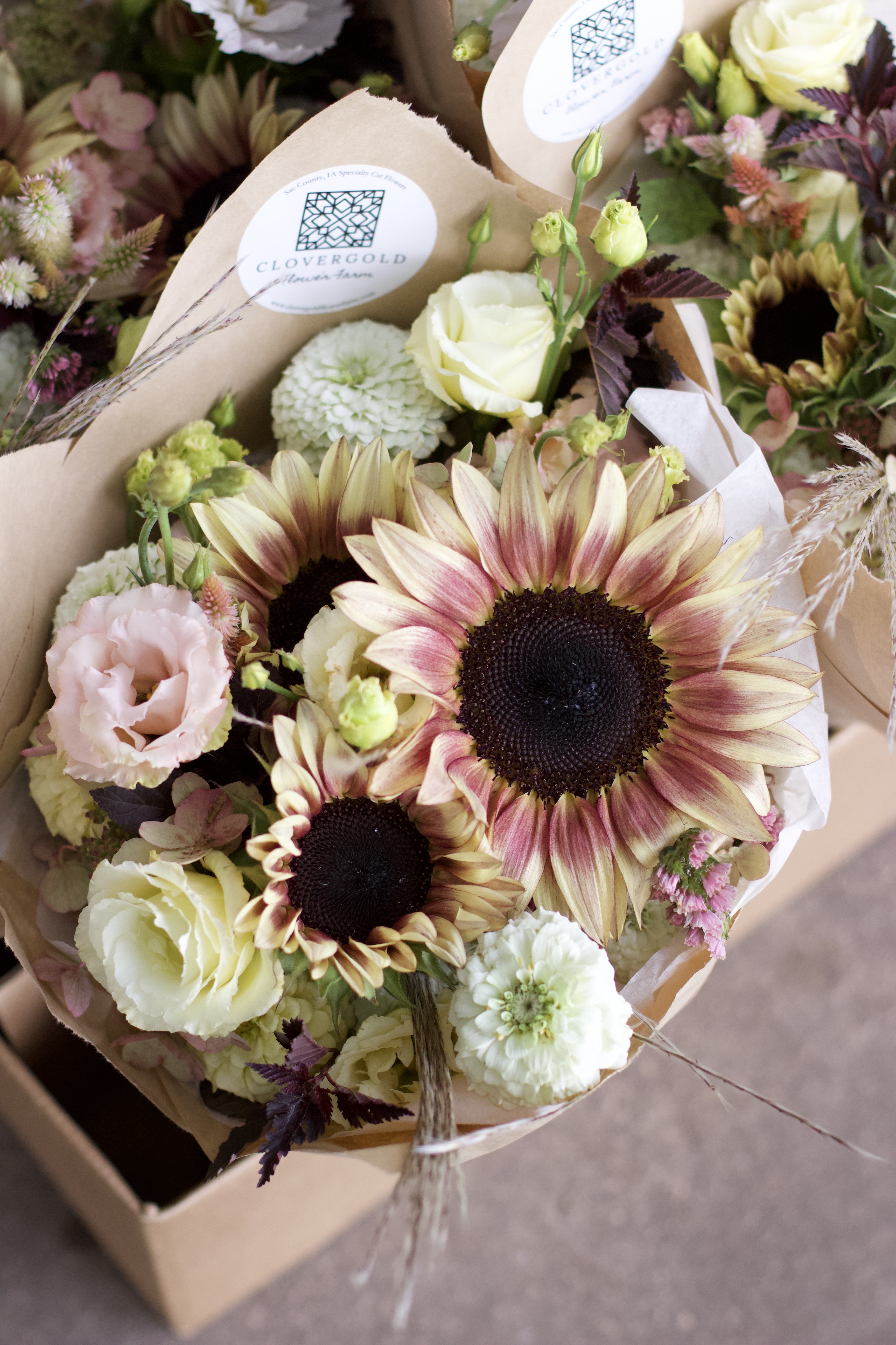 A bouquet of flowers of various sorts in shades of white, cream, and pink.