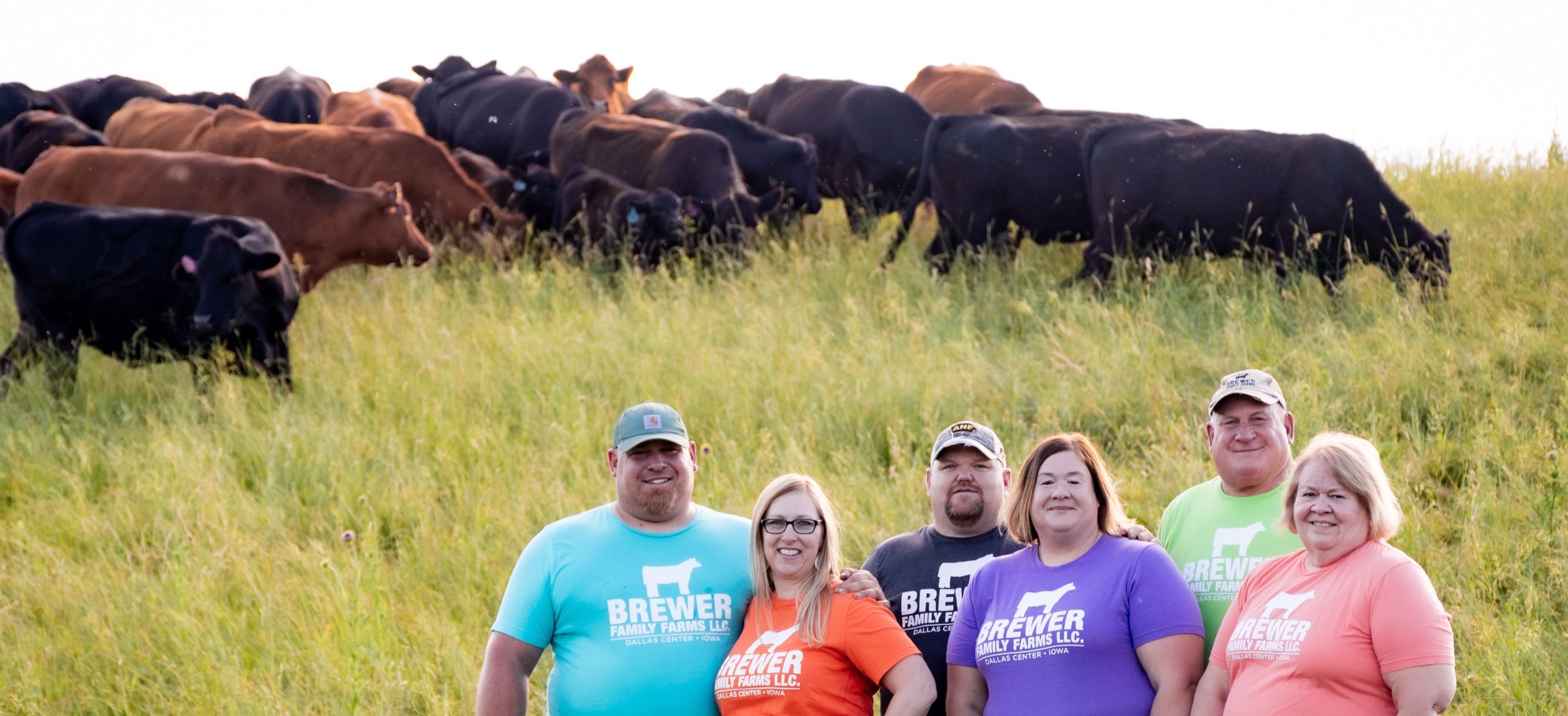 Six people stand in front of a herd of cows in a grass field.