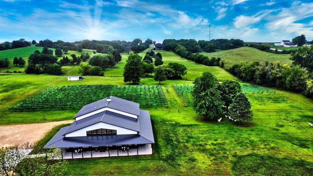 Drone view of the tasting room and vineyard