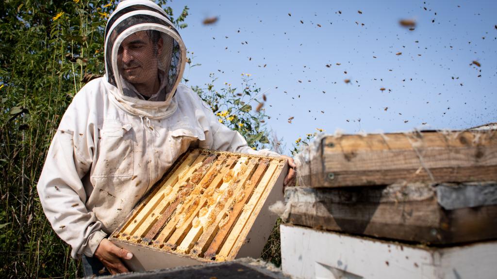 Andy with bee supers