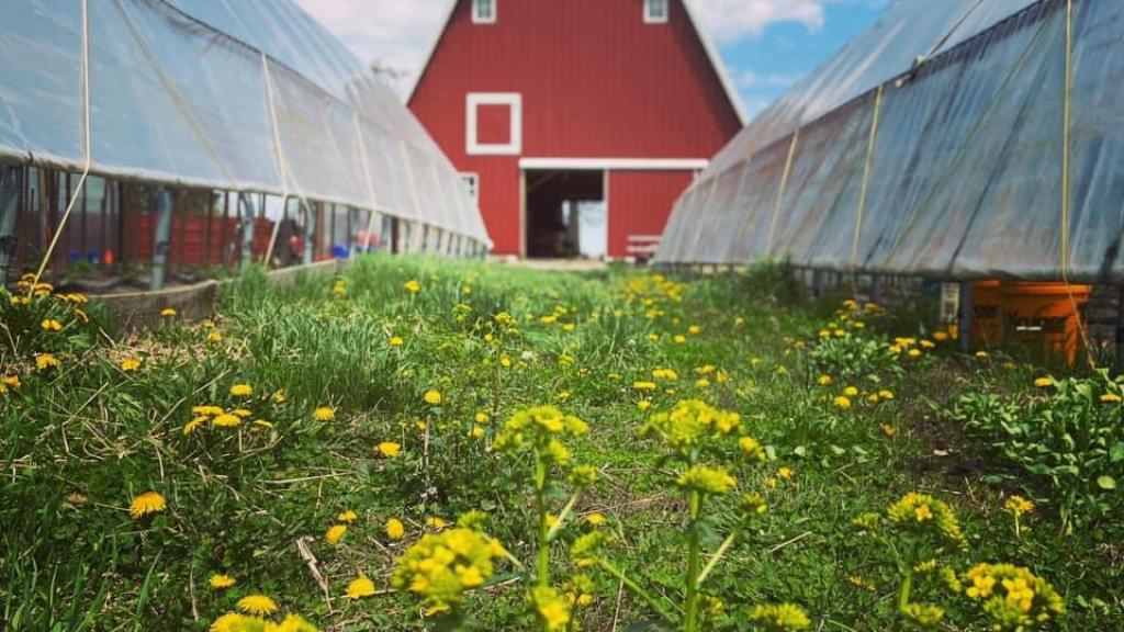 Barn -  High Tunnels