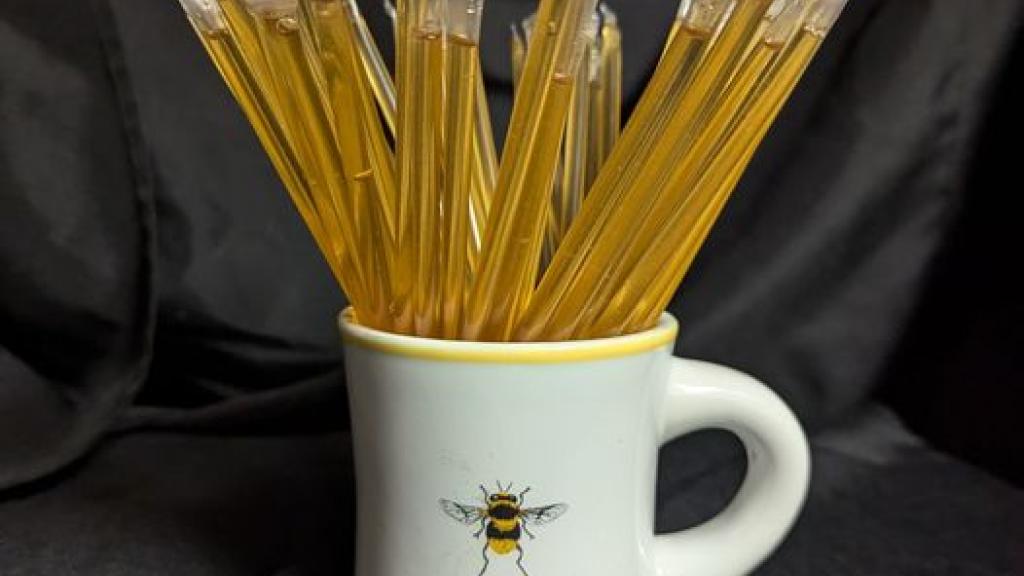 Honey Sticks