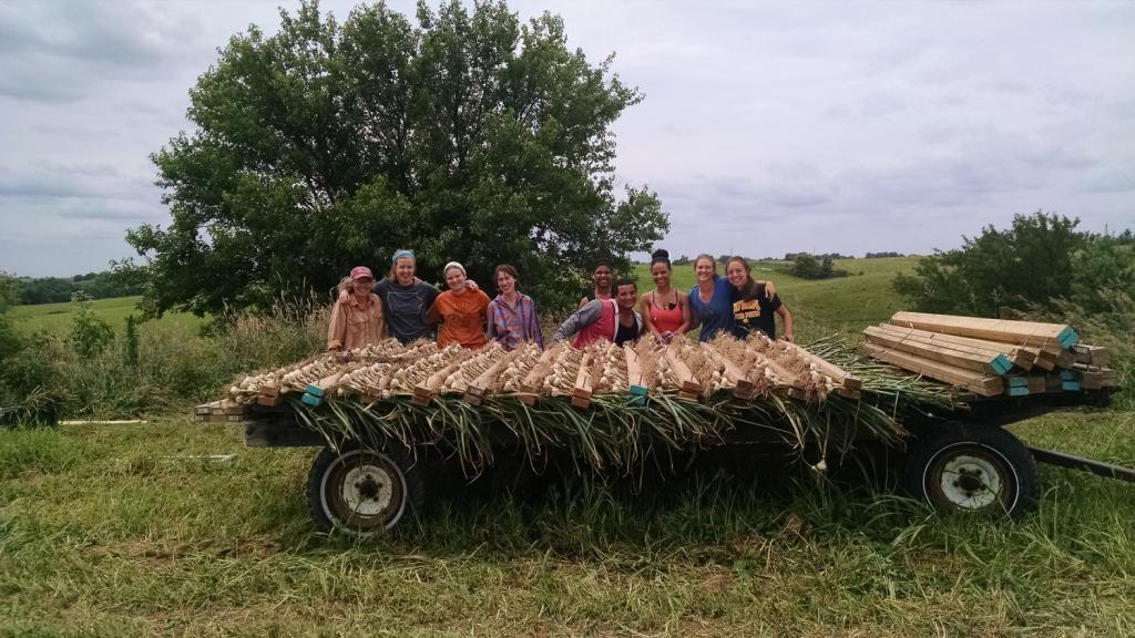 Local Harvest CSA Crew