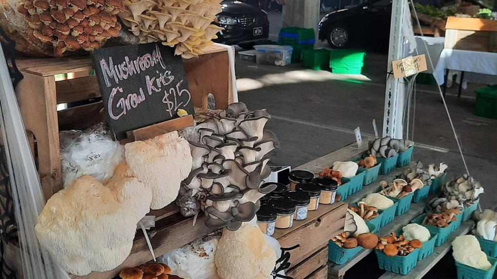 Mushroom market set up