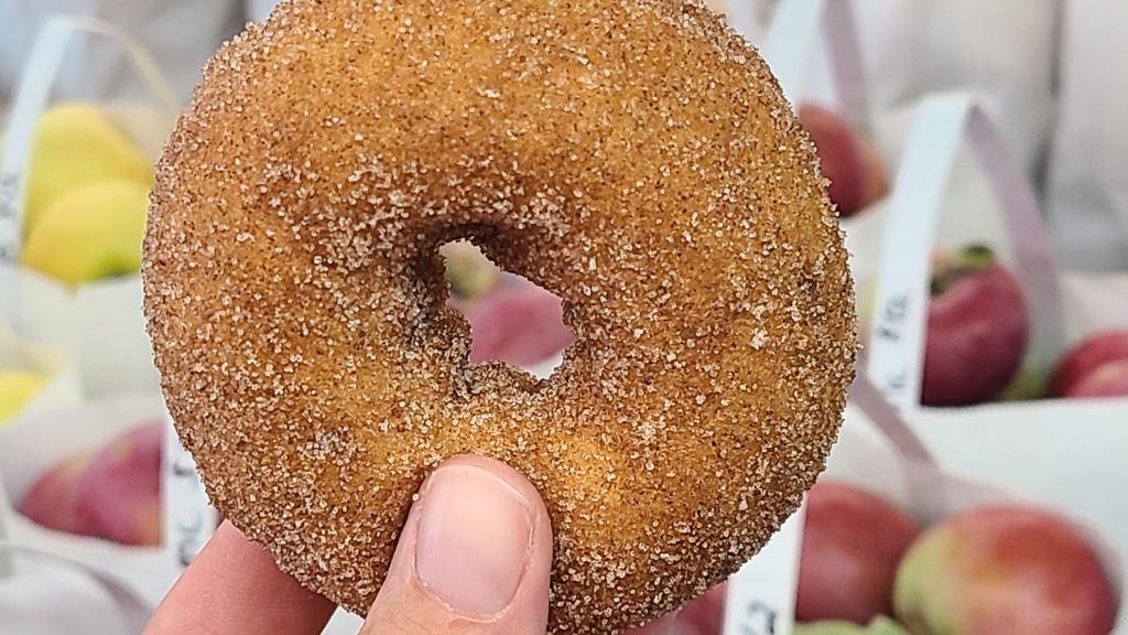 Apple Cider Donut