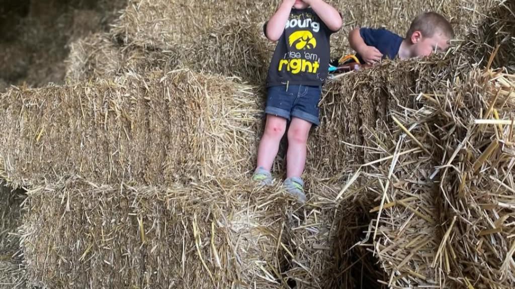 We sell square bales of rye straw.