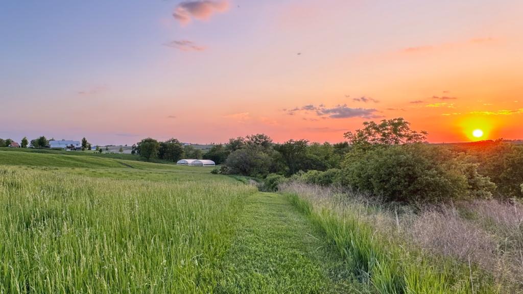 Land and High Tunnels