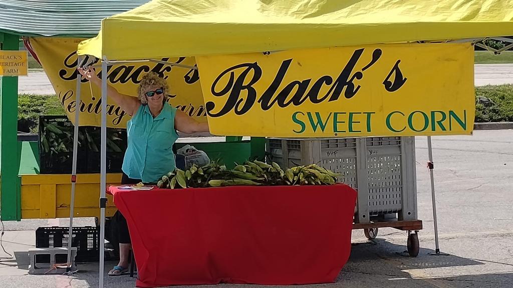 Sweet corn stand