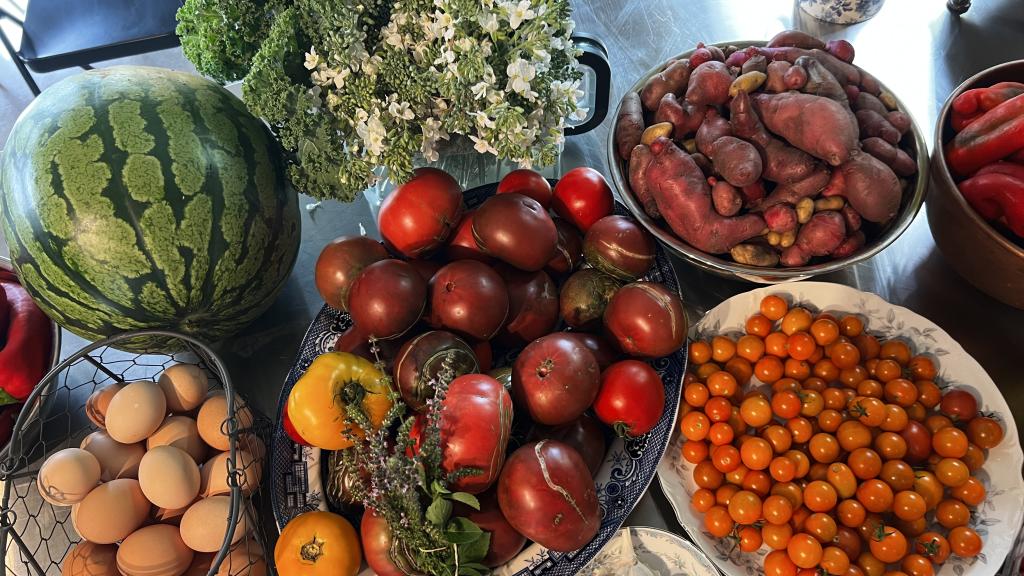 An array of colorful summer vegetables, pleasingly displayed together.