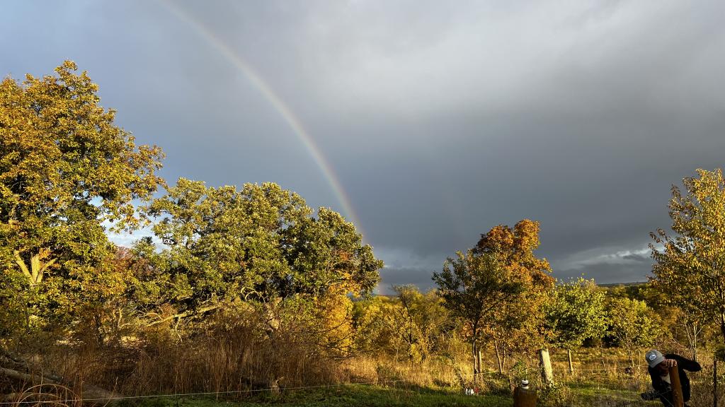 A rainbow over a wooded pasture.